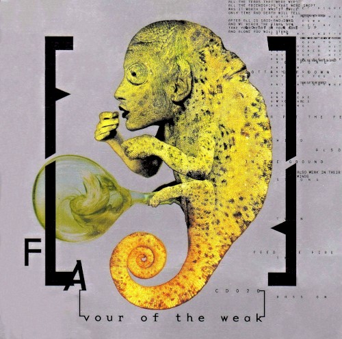 FLAvour of the Weak封面
