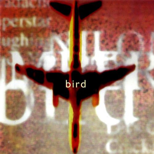 Bird封面