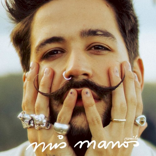 Mis manos封面