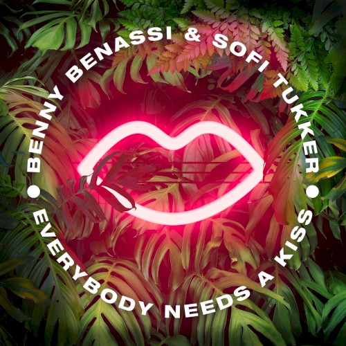Everybody Needs a Kiss封面