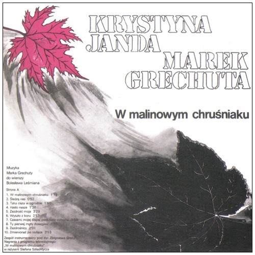 W Malinowym chruśniaku / Dancing封面
