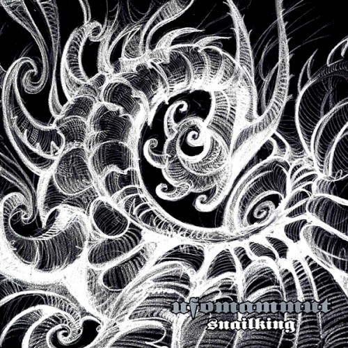Snailking封面