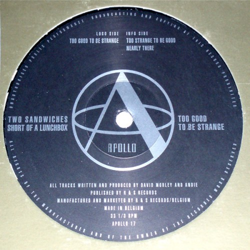 Too Good to Be Strange封面