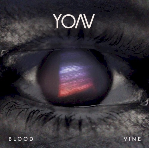 Blood Vine封面