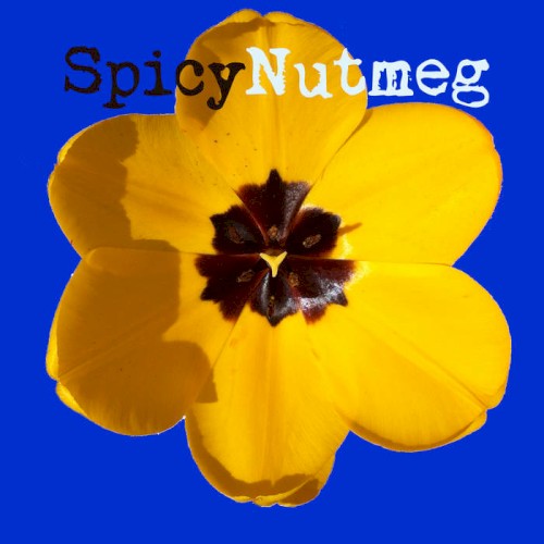 Spicy Nutmeg封面