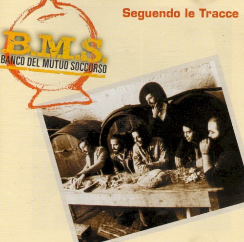 Seguendo le tracce封面