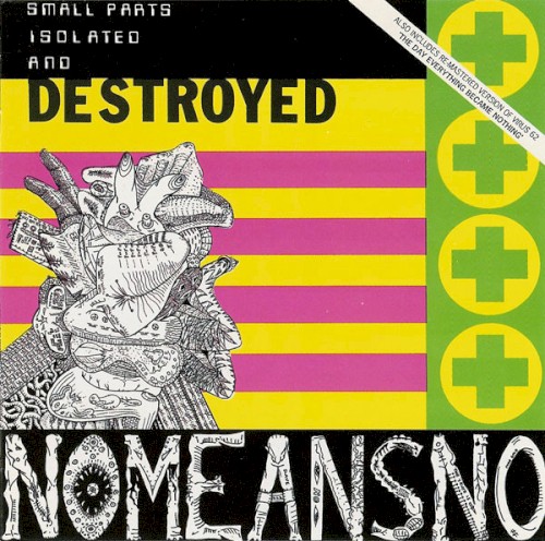 The Day Everything Became Isolated and Destroyed封面