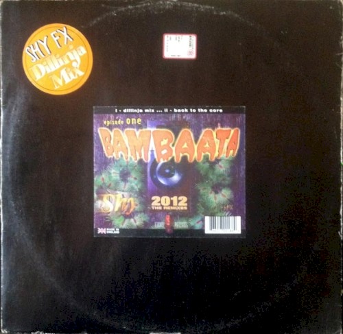 Bambaata 2012封面