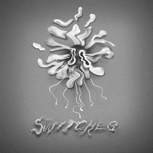 Switches封面