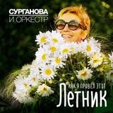 Как я провёл этот Летник封面