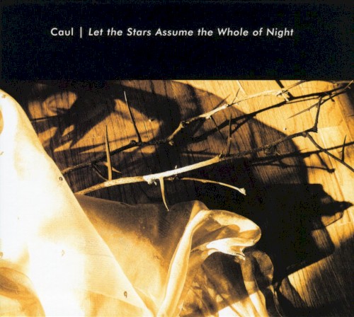 Let the Stars Assume the Whole of Night封面