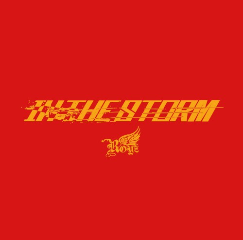IN THE STORM封面