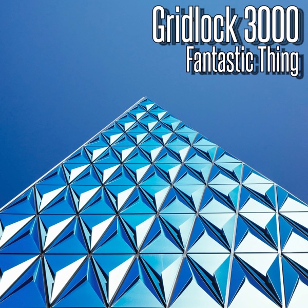 Fantastic Thing封面