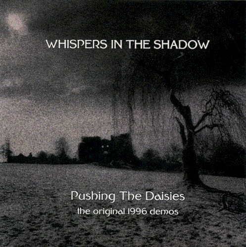 Pushing the Daisies封面