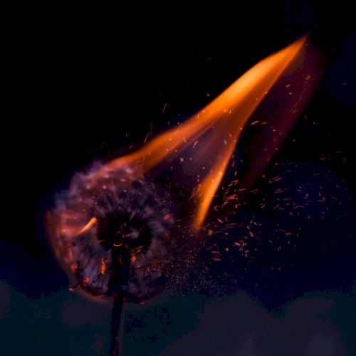 Burn封面