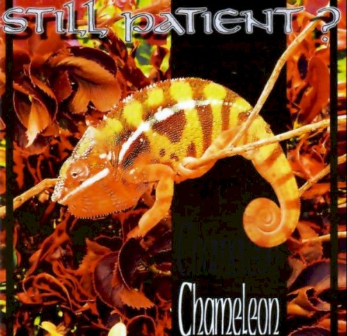 Chameleon封面