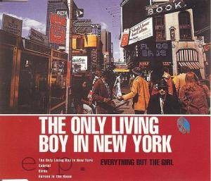 The Only Living Boy in New York封面