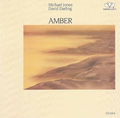 Amber封面