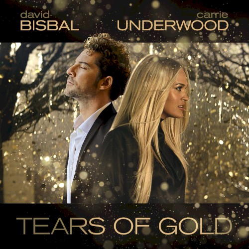 Tears of Gold封面