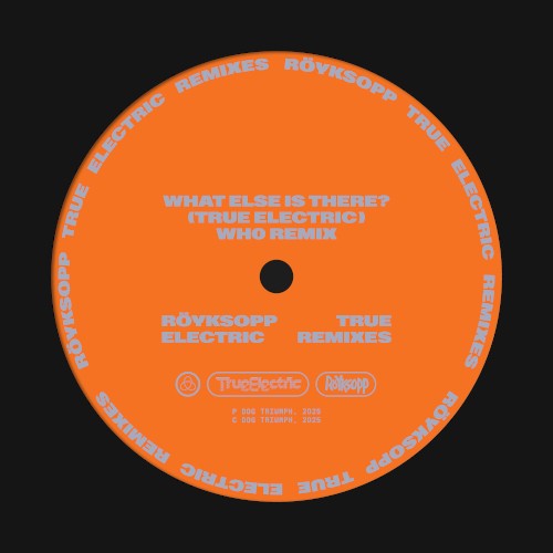 What Else Is There? (Wh0 remix)封面