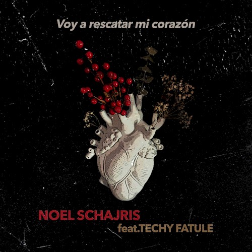Voy a rescatar mi corazón封面
