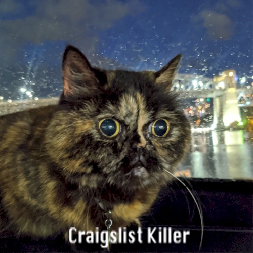 Craigslist Killer封面