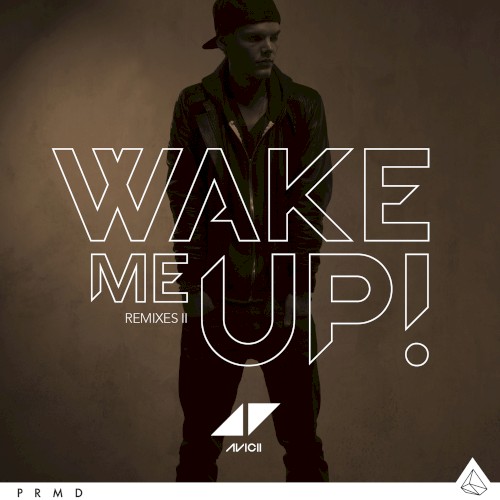 Wake Me Up (Remixes II)封面