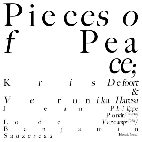 Pieces of Peace封面