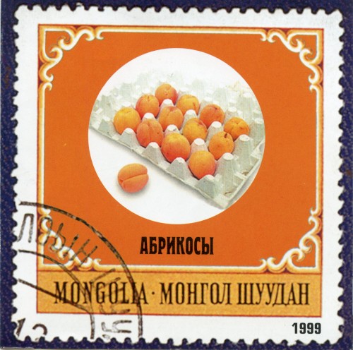 Абрикосы封面