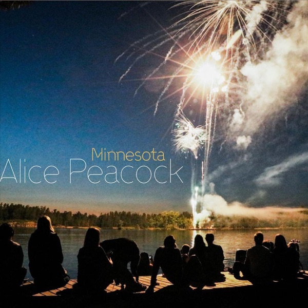 Minnesota封面