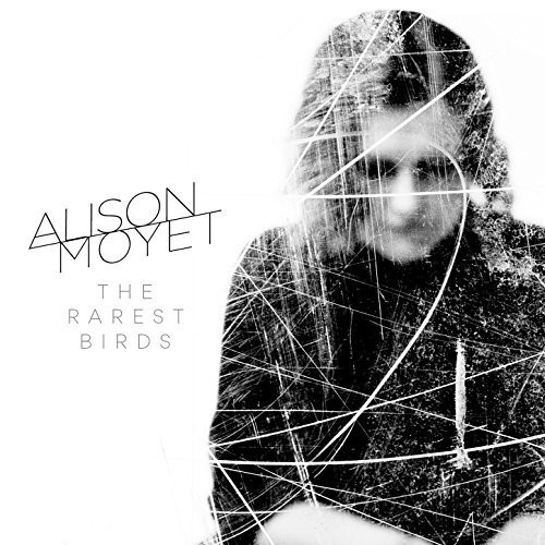 The Rarest Birds封面