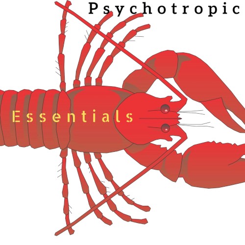 Essentials封面