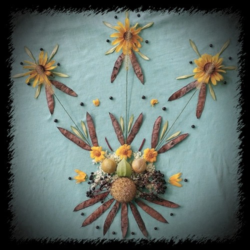 Free Alchemy Vol. 2封面