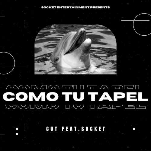 Como Tu Tapel封面