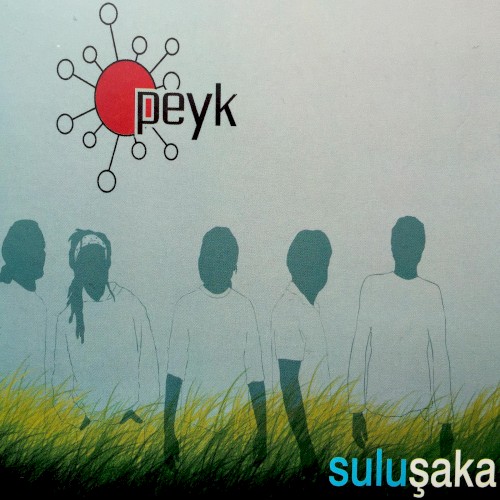 Suluşaka封面