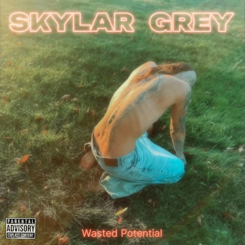 Wasted Potential封面