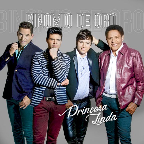 Princesa linda封面