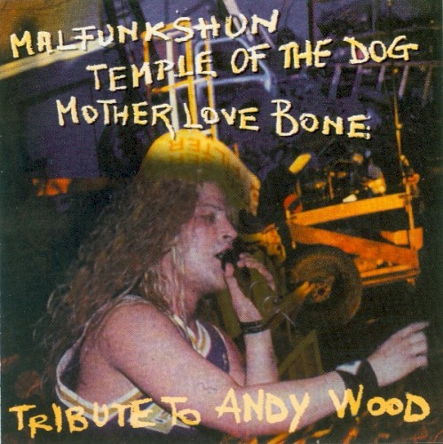 Tribute to Andy Wood封面