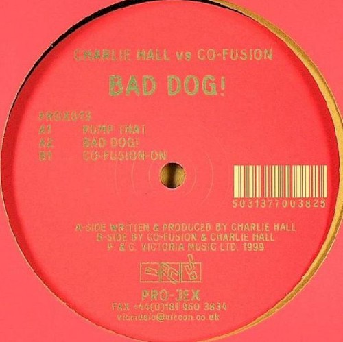 Bad Dog!封面