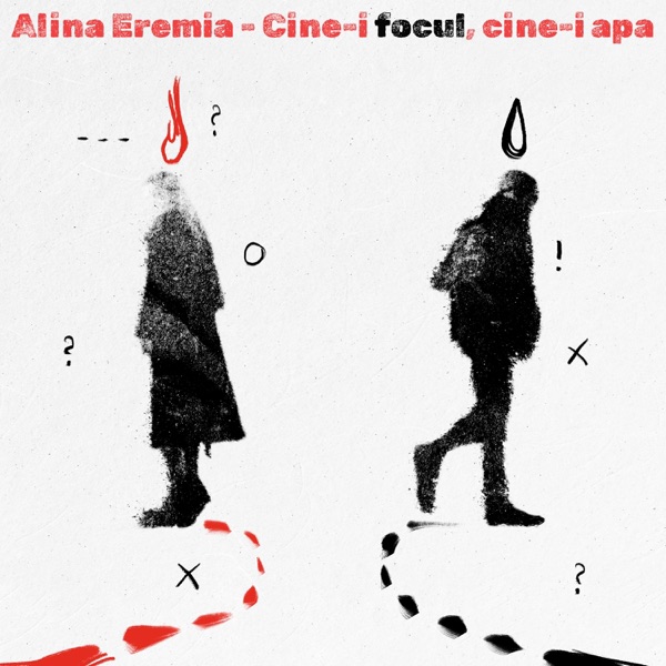 Cine‐i focul, cine‐i apa封面