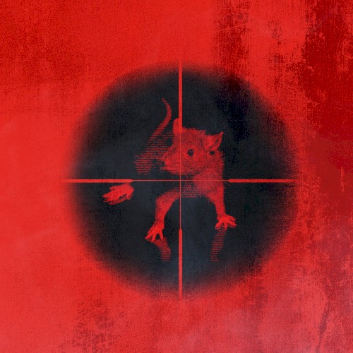 Killing the Rats封面