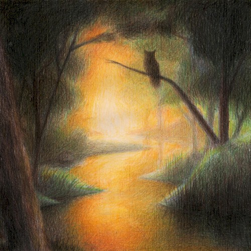Hidden Stream封面