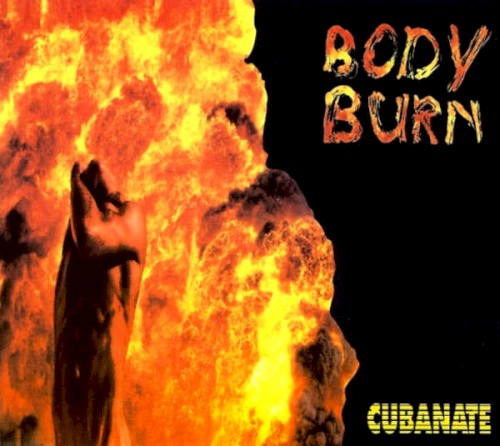 Body Burn封面