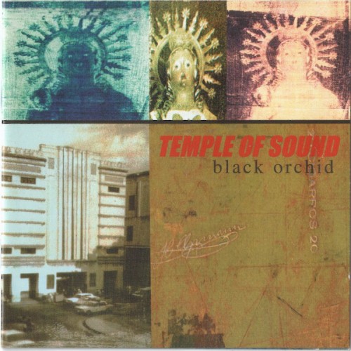 Black Orchid封面