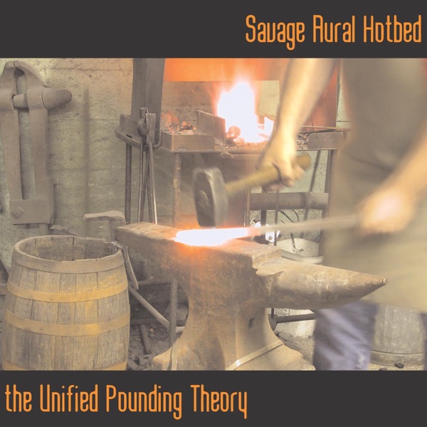 The Unified Pounding Theory封面
