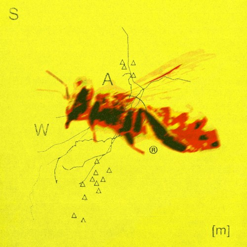 Swarm封面