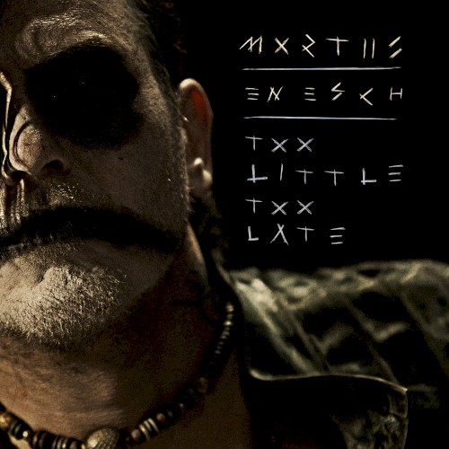 Too Little Too Late封面