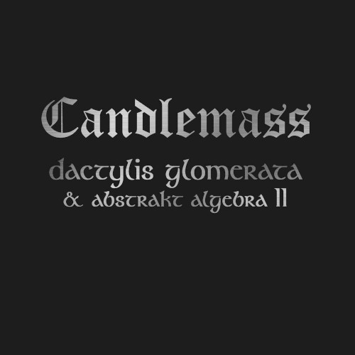 Dactylis Glomerate & Abstrakt Algebra II封面