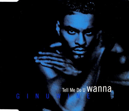 Tell Me Do U Wanna封面