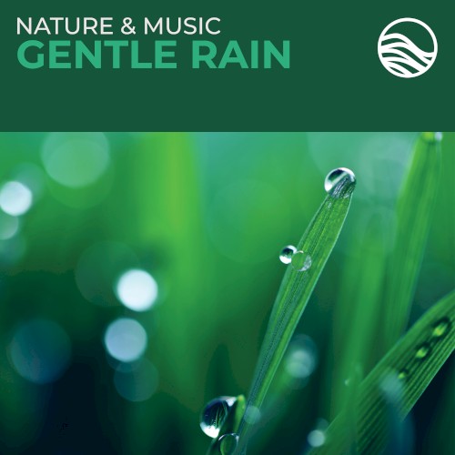 Gentle Rain封面